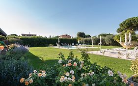 Rosa Di Assisi